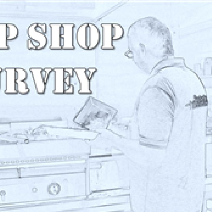 Chip Shop Survey & Birthday Celebrations