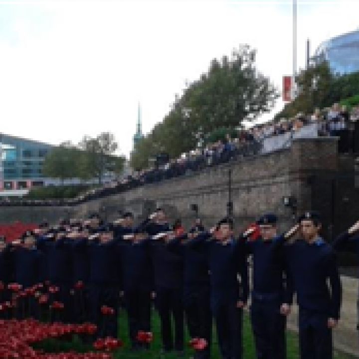 Poppy Planting at the Tower of London