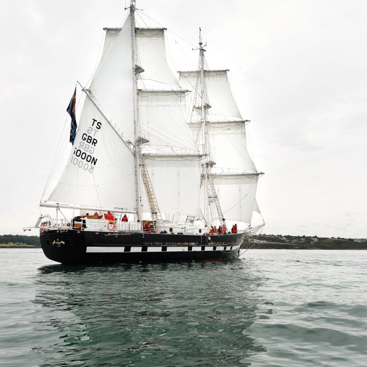 TS ROYALIST WINS FIRST RACE