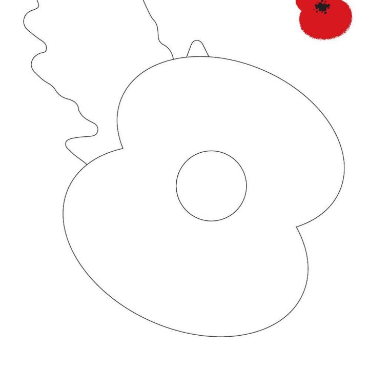 CREATE YOUR OWN POPPY!