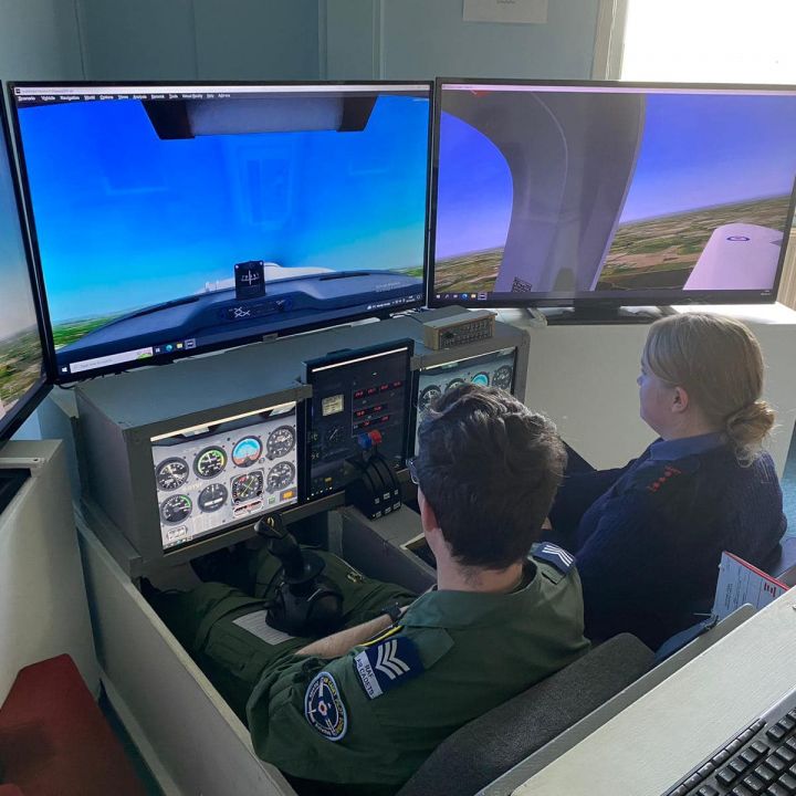 Flight simulator