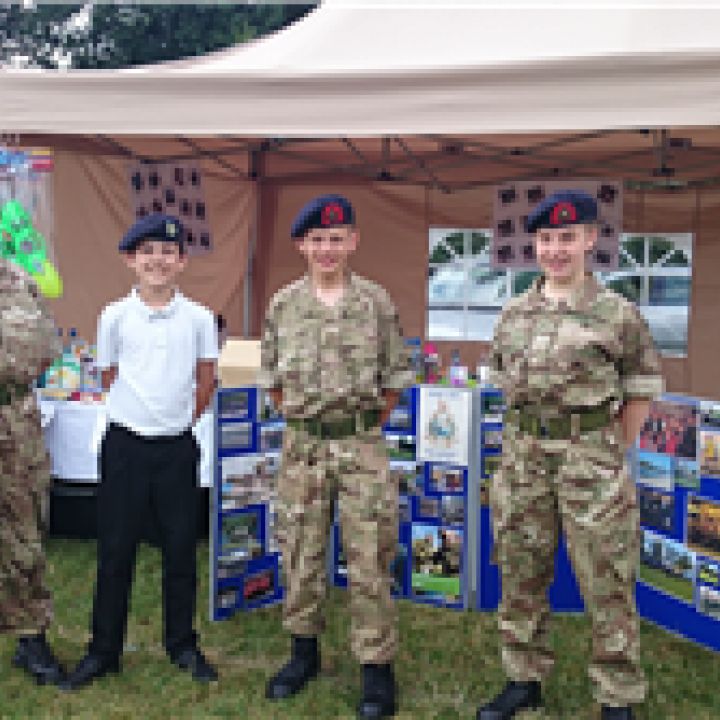 William Harding Fete, Aylesbury - July 2015