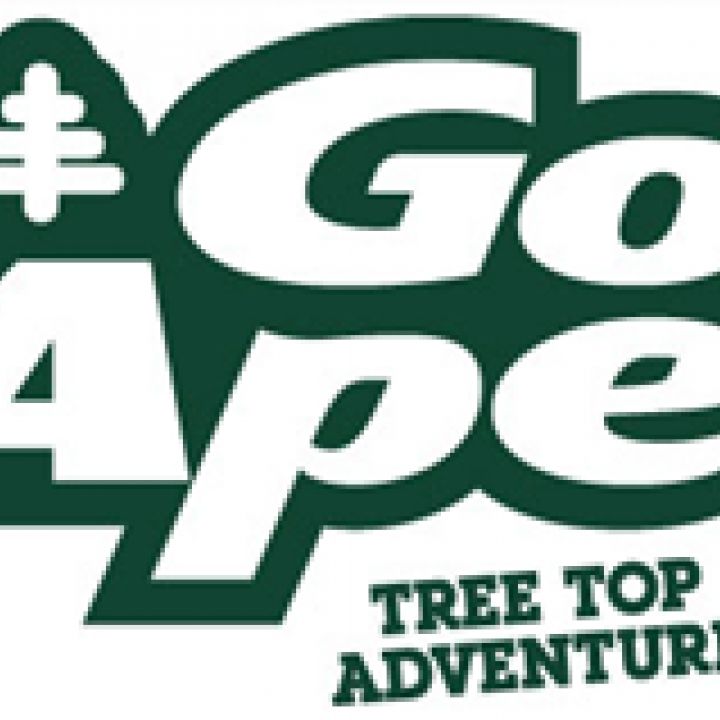 Go Ape Treetop Adventure